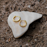 Cathy Pavé Hoops